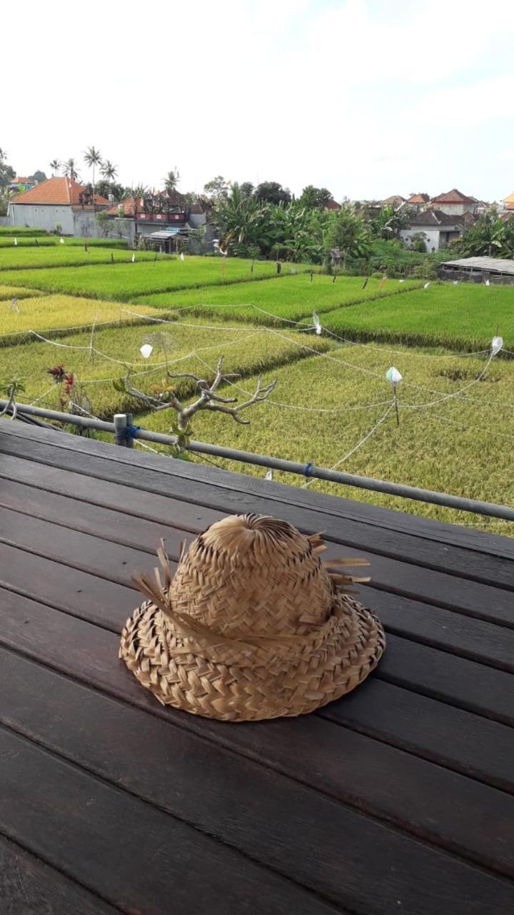 D'Sari Undisan Houses Bangli Exterior photo